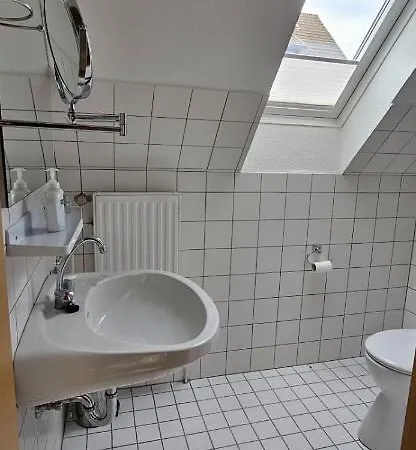 Esche 2